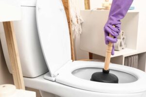 clogged toilet